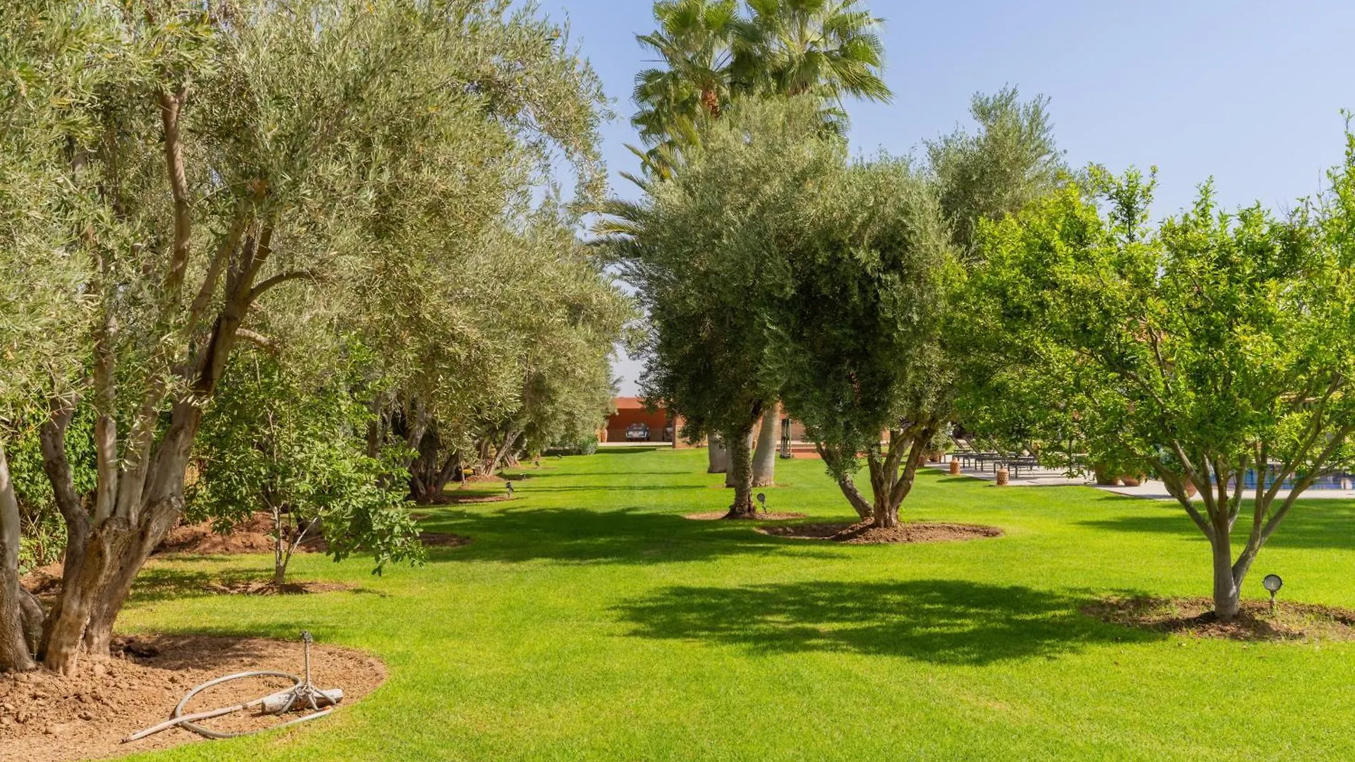 Villa Chocolat Marrakech Marakeş